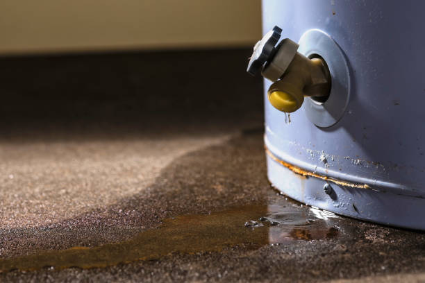 Best Flood restoration services  in Willow, AK