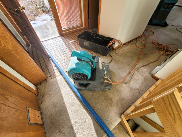 Sewage cleanup and water damage restoration in Willow, AK