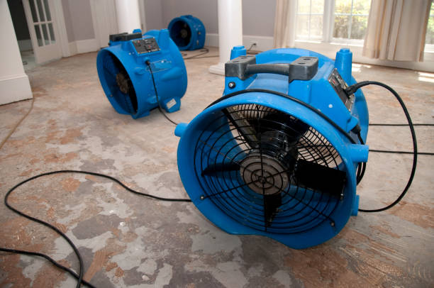 Best Commercial water damage restoration  in Willow, AK