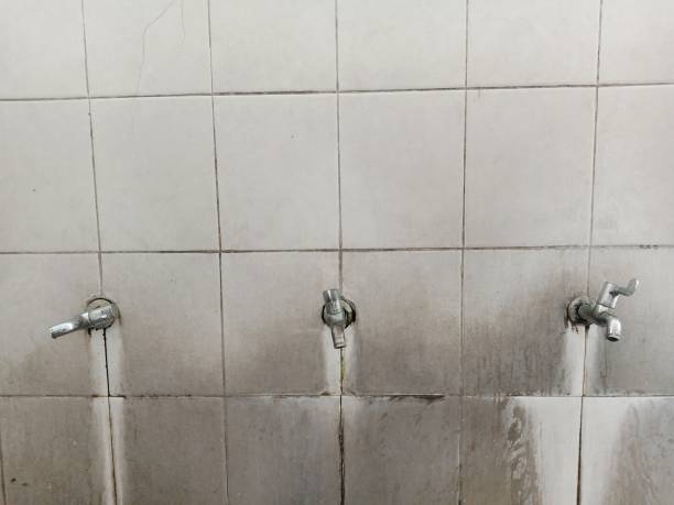 Best Water damage restoration near me  in Willow, AK