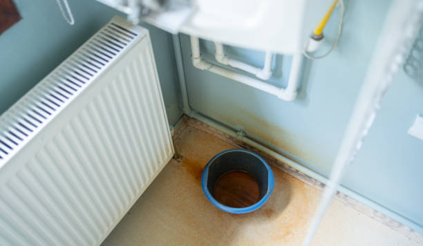 Best Water damage restoration services  in Willow, AK