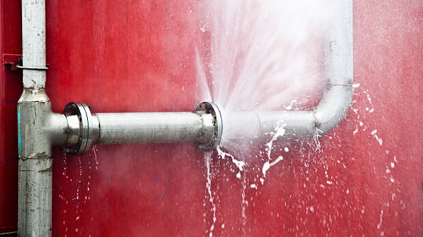 Best Commercial water damage restoration  in Willow, AK